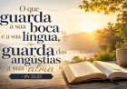 O que muda quando escolhemos nossas palavras com sabedoria?